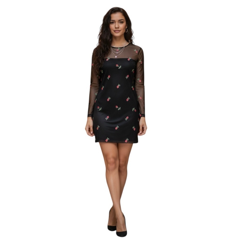 Motel Rocks Wyatt Rose Embroidery Sheer Mini Dress - XXS NWT